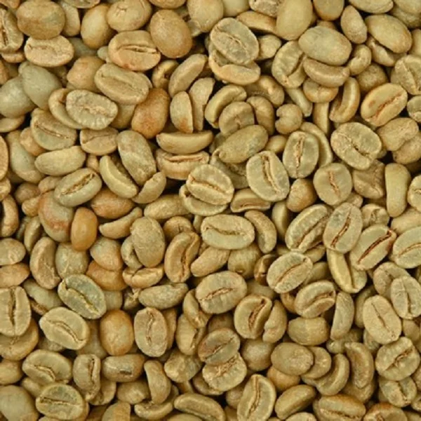 green arabica coffee.jpg