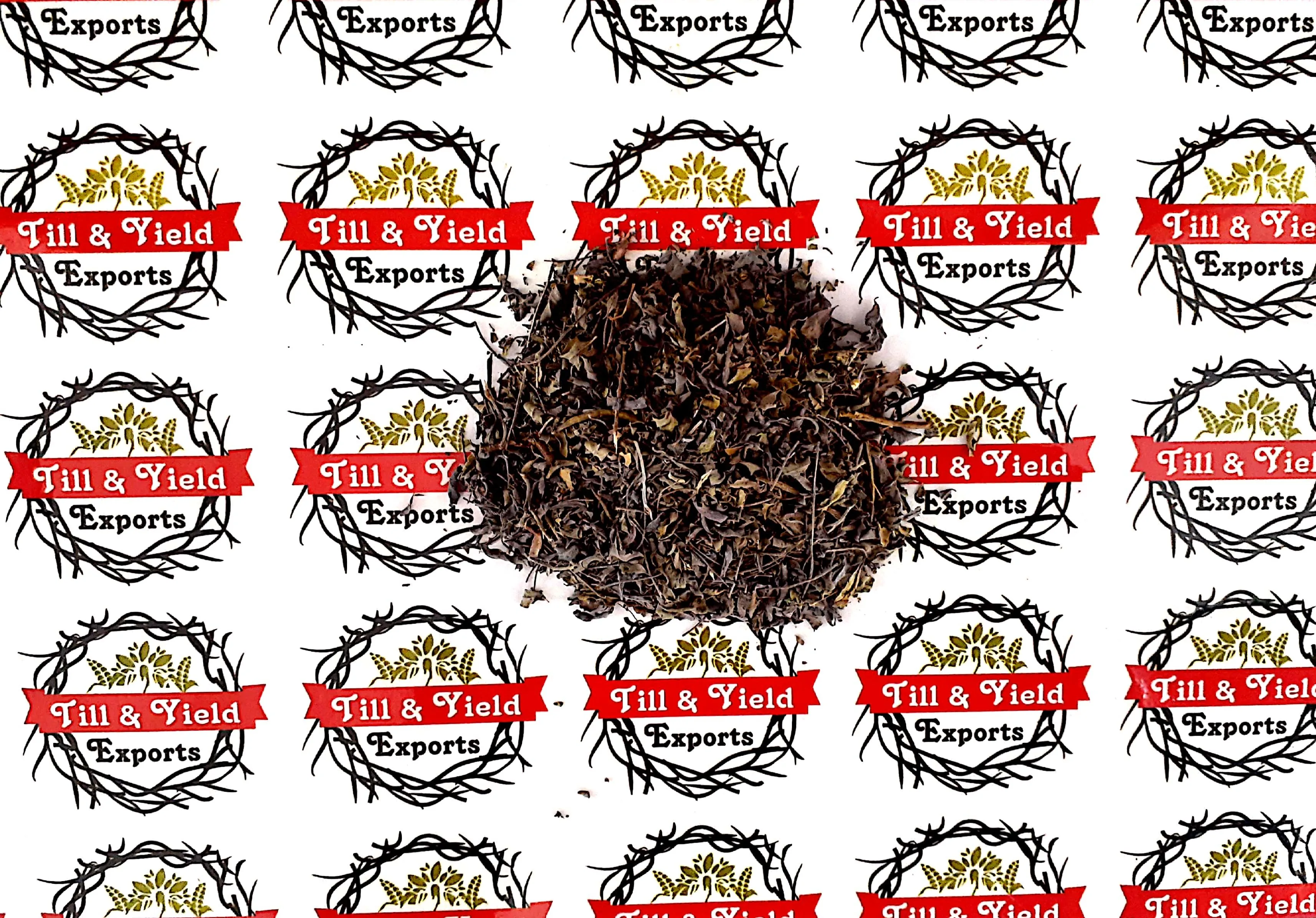 Export Quality Herb Indigo/ Indigo Tinctoria/Asian Indigo Promotes Hair Quality Solve Hair Problems