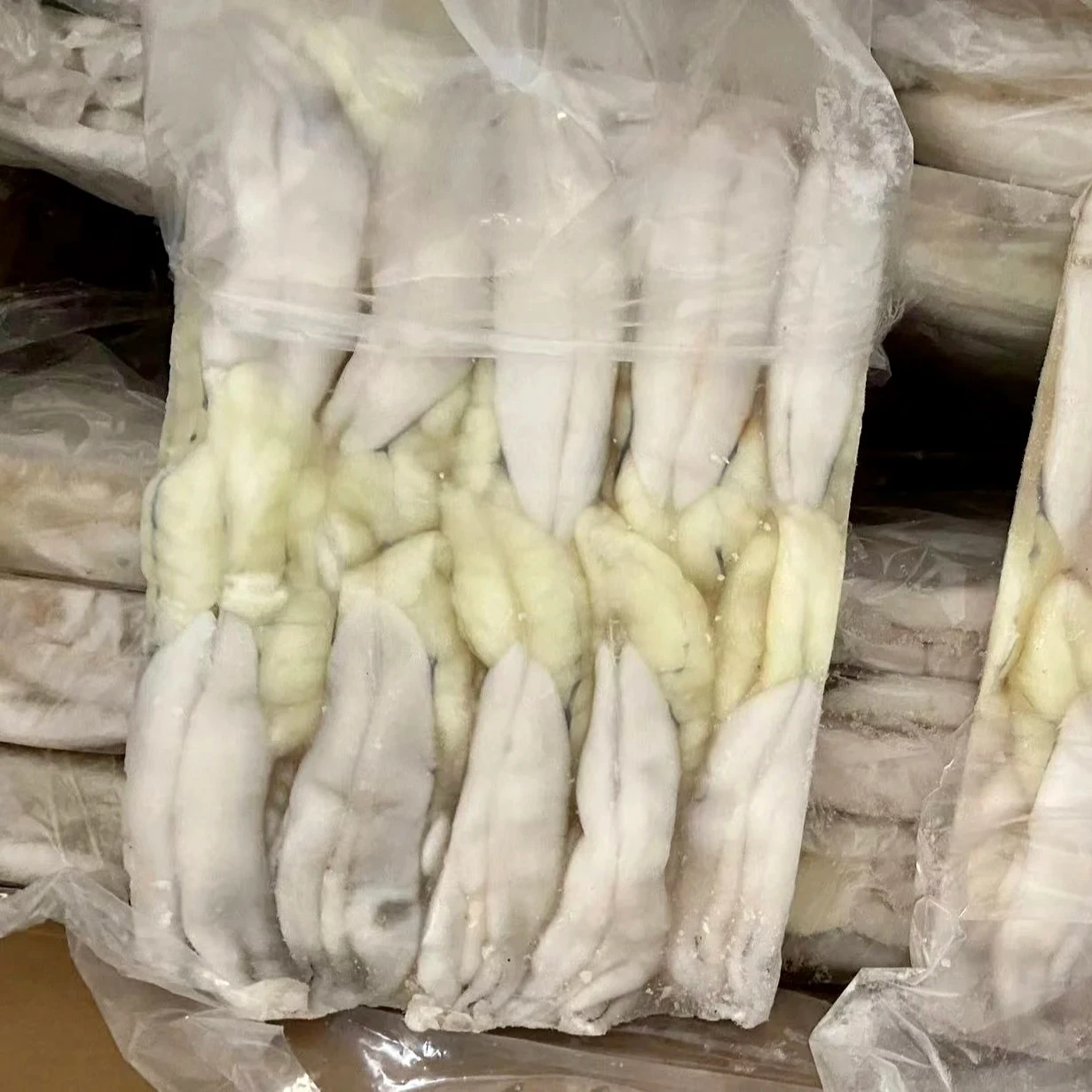 frozen illex squid roe/top quality frozen squid egg for sale