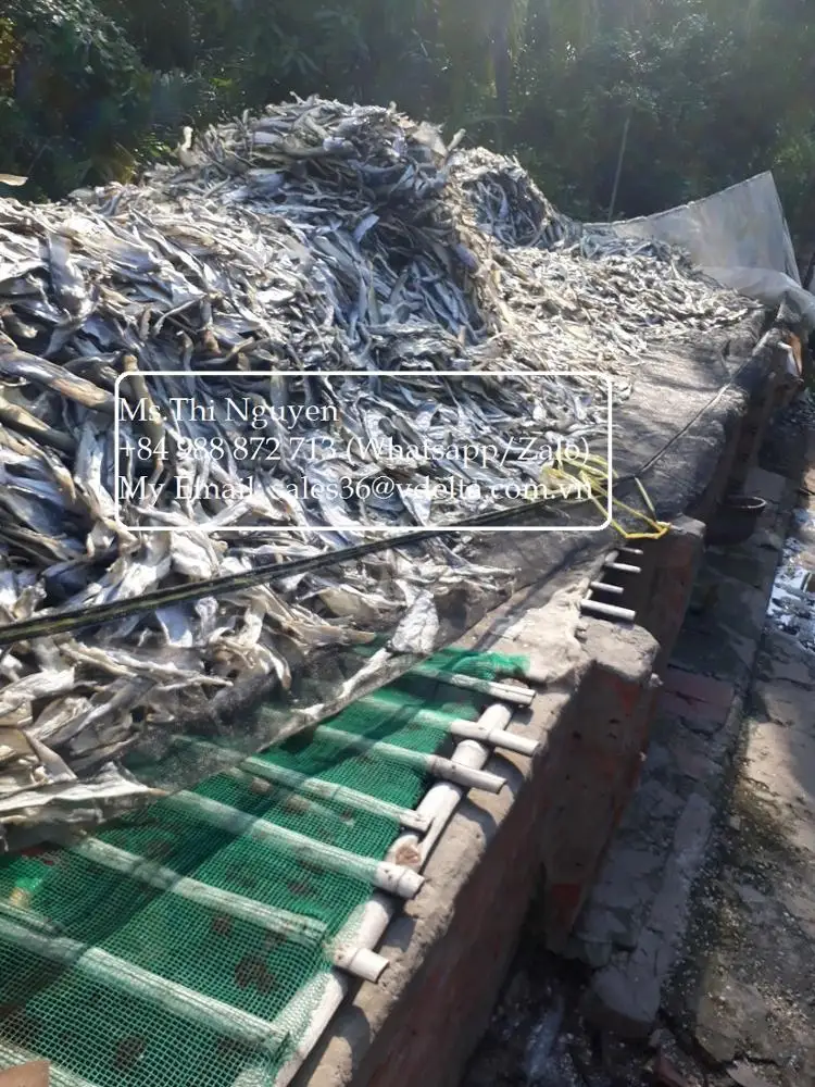 Manufacturer fish skin / dried - snack - fried ( crispy ) of pangasius fish skin - salmon fish skin very cheap from Viet nam