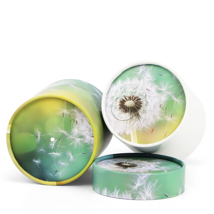 Custom Pet Human Caskets Cremation Ashes Urns Bio Tree Paper Coffin Cardboard Scattering Tube for Water Buria Packaging Box