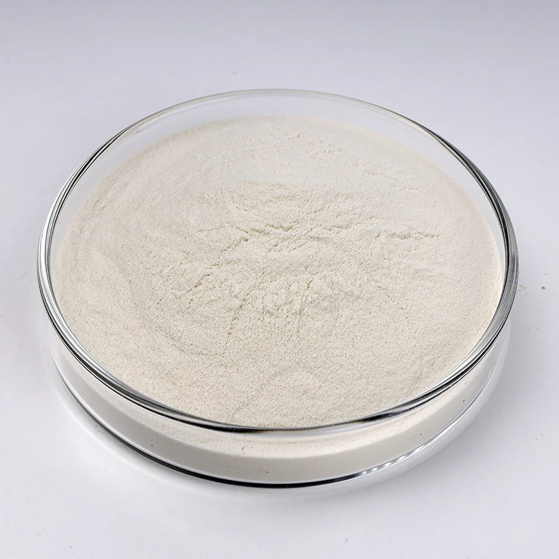 High Activity Enzyme 200,000 Alkaline Protease food grade protease enzyme