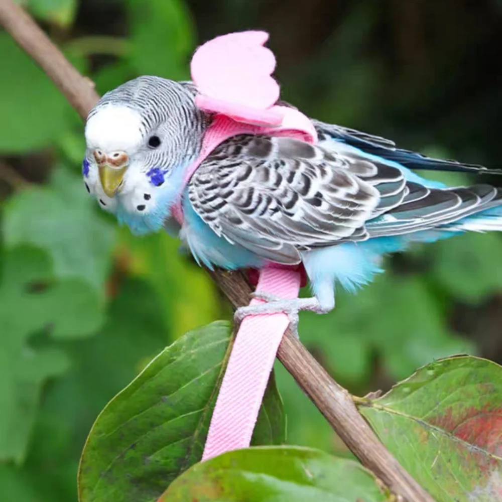 Регулируемый поводок для попугаев летающий птиц голубей Budgerigar Lovebird кокатил