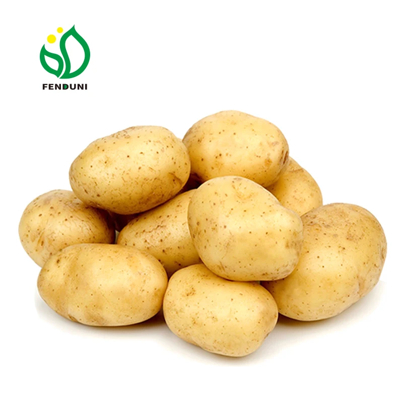 2024 Potato Export China High Quality Fresh Vegetables Kentang Potatoes For Sale
