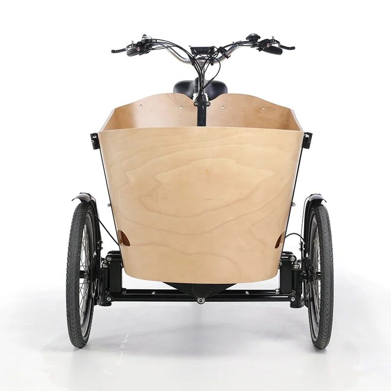 Bakfiets Pedal electric 3 wheel electric family cargo trike bike frame for kids by sea Pedal electric tricycle