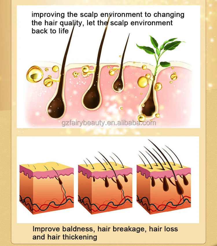 Ginger shampoo2-5.jpg