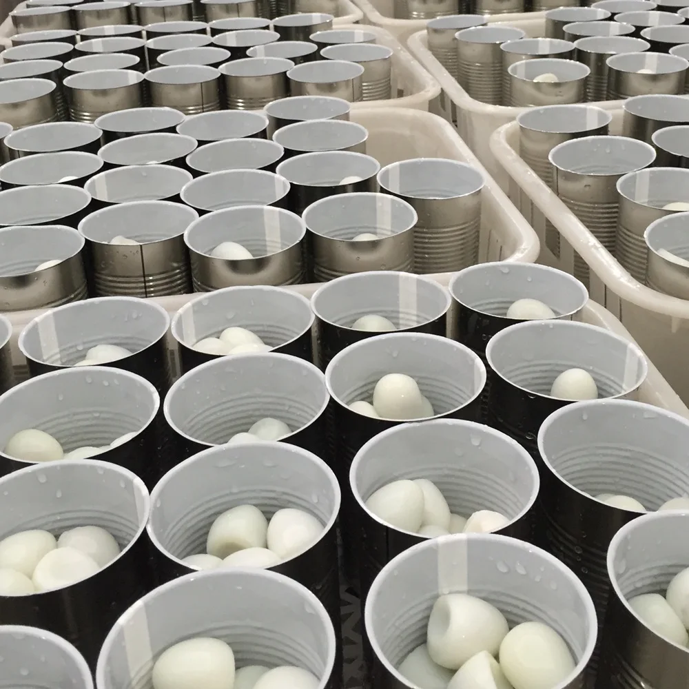 Quail egg feeding factory supply canned food of 425g 850g 3kg salted quail eggs canned quail egg in brine water export for sale