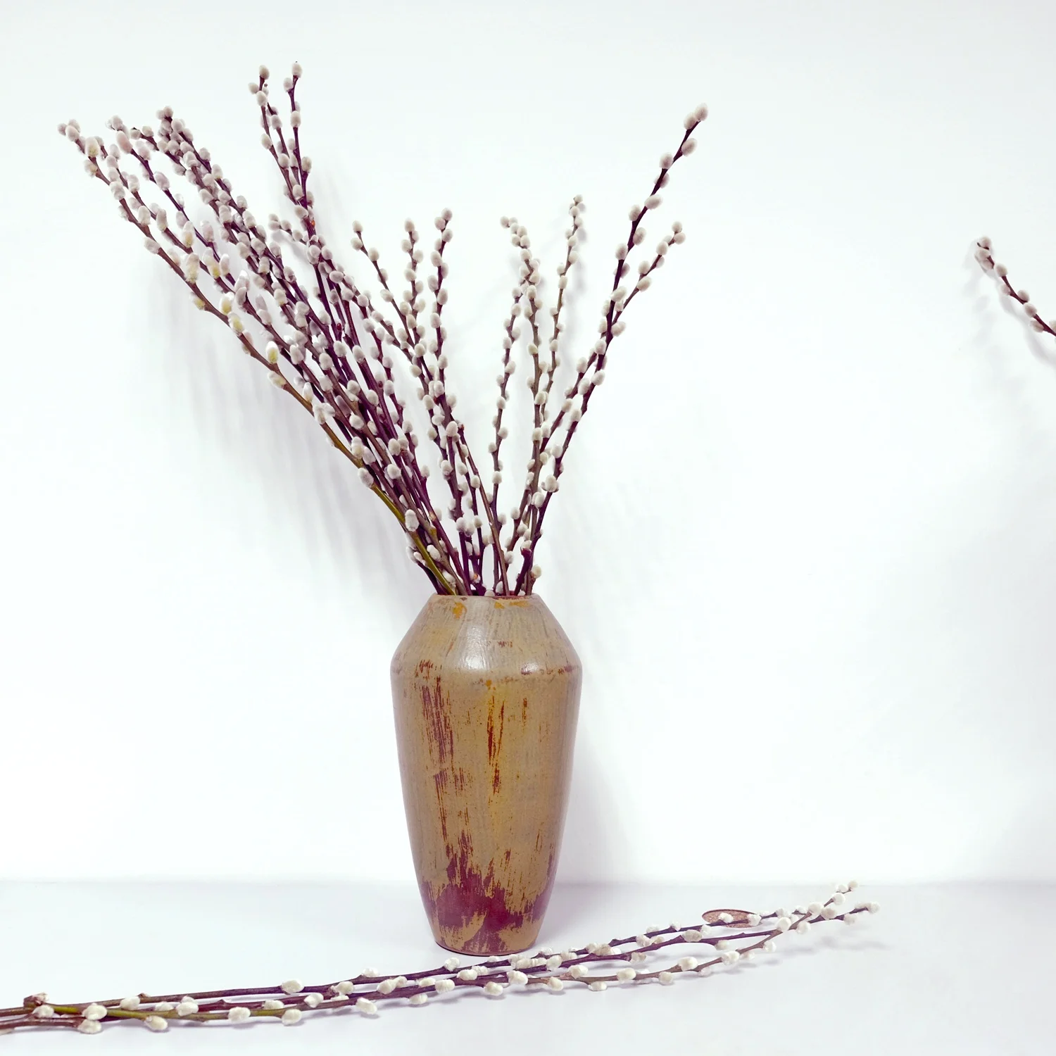 Wholesale Fresh Cut Pussy Willow Branch Salix From Farm For Winter Decoration