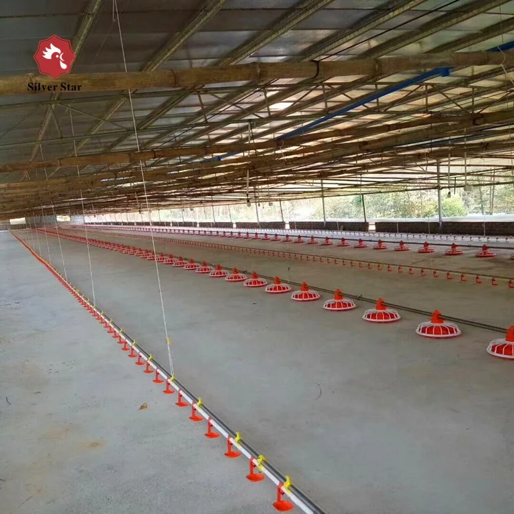 plastic floor system poultry farming broiler raising equipments