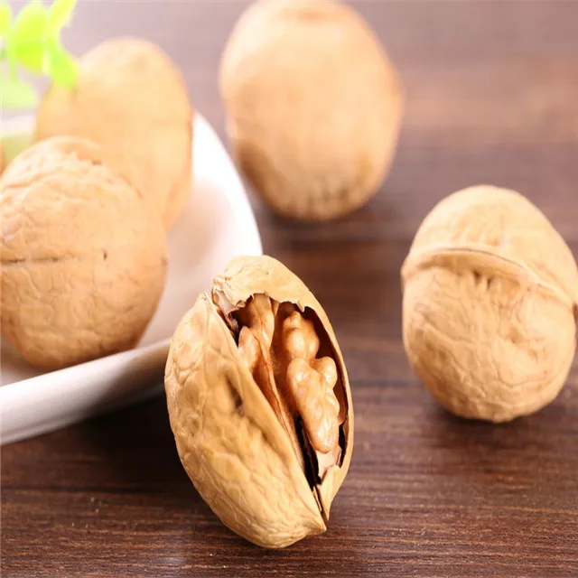 Walnut/ Dry Walnut / Snack Food/Raw Walnut