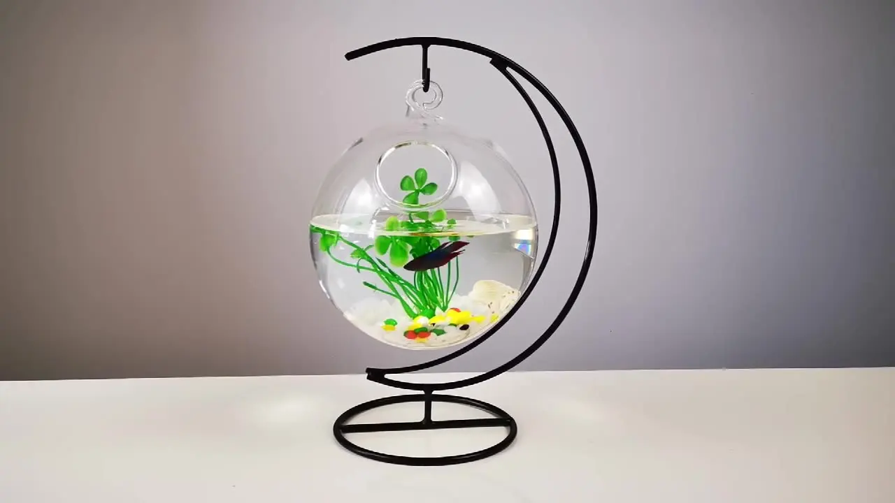 Small Round Acrylic Plastic Fish Tank Aquarium