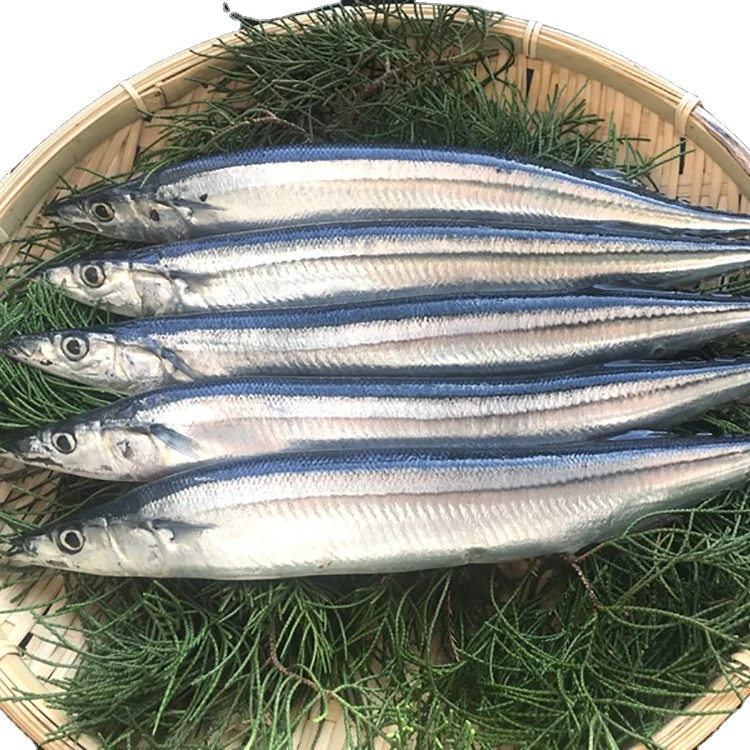 
Sea Frozen Chinese Factory Pacific Saury for Russia Market 