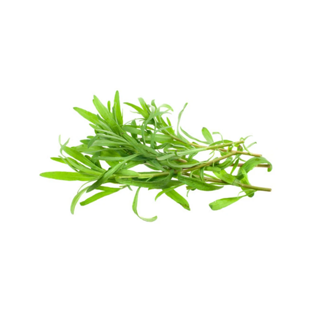 Tarragon Oil