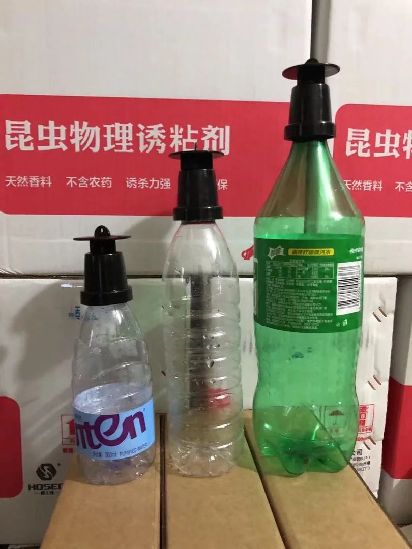 Hot sales mini fruit fly trap head with pheromone stick for Bactrocera Dorsalis from manufacturer