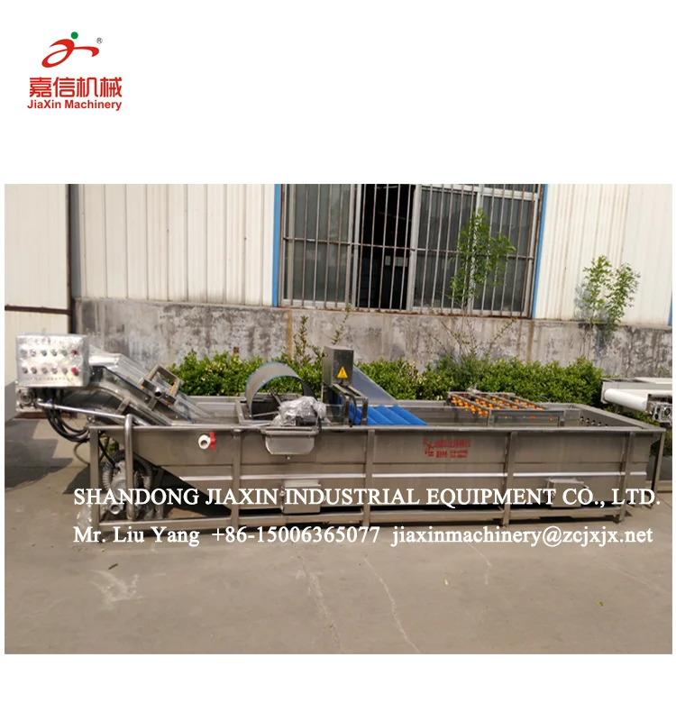 
Air bubble industrial fruit and vegetable washer machine price 