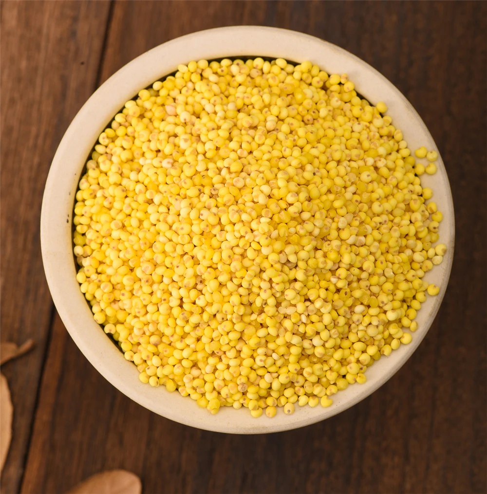  Сельскохозяйственная продукция экспорт Горячая продажа вакуумная упаковка 1 кг/мешок Желтый Просо для