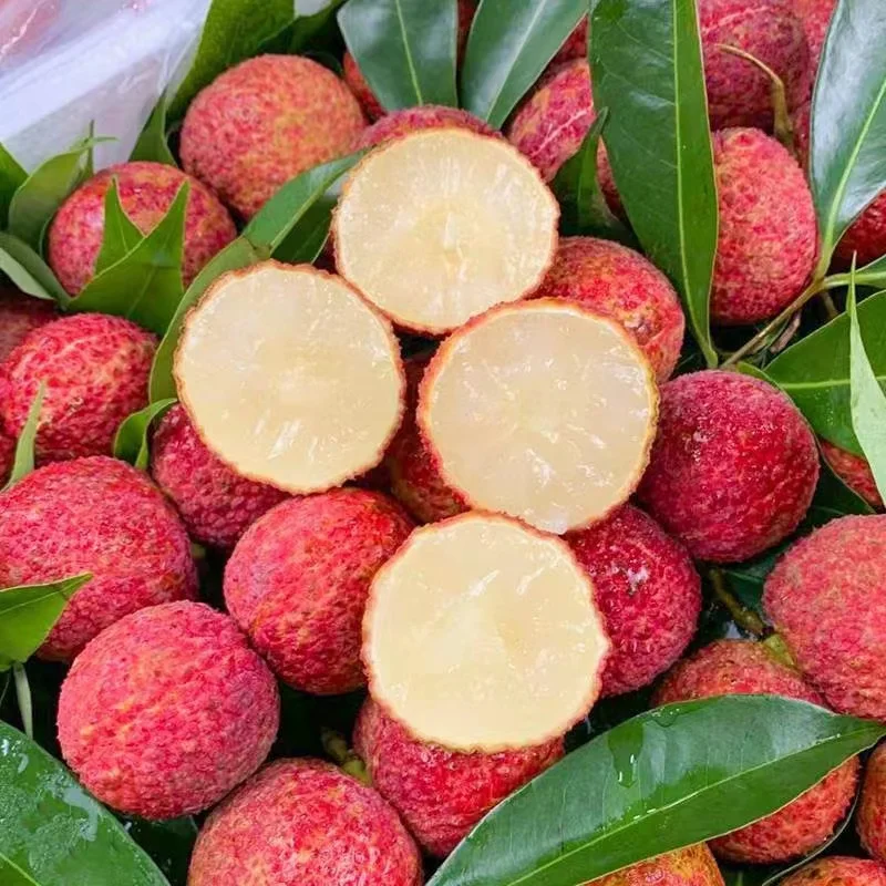 China fresh seedless litchi and seedless lychee