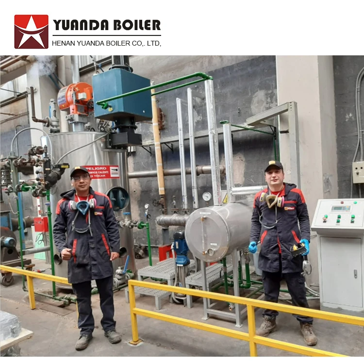 Hotel or Laundry use 300kg/hr 500kg/hr 800kg/hr Oil Gas Fired Steam Boiler