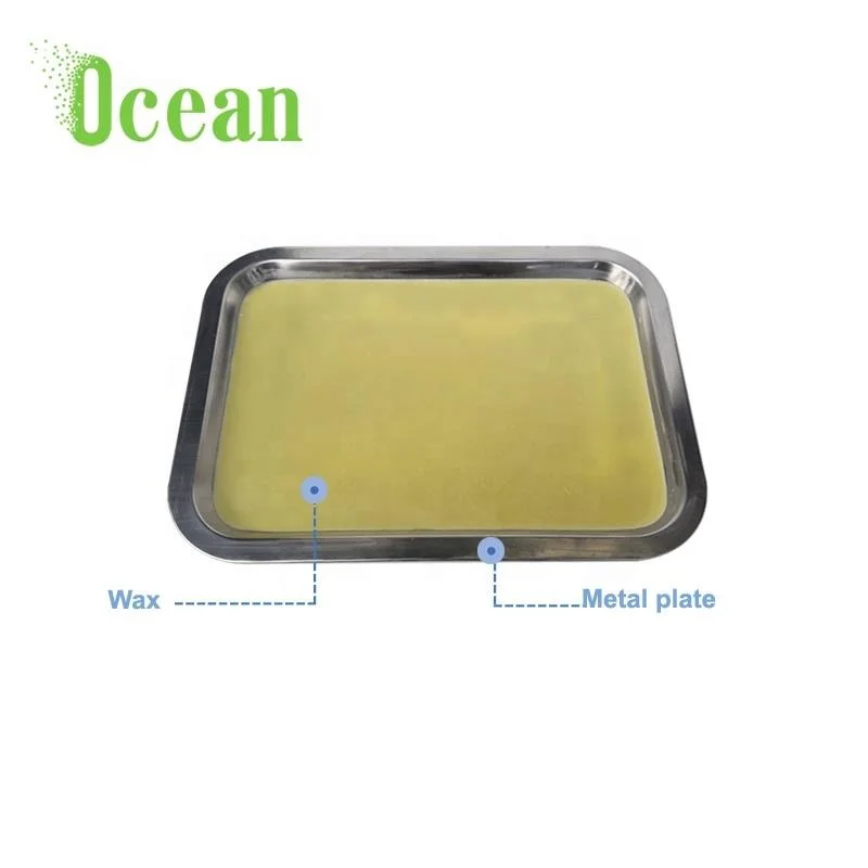 Stainless steel metal tray medical laboratory biological dissecting tray with wax for school
