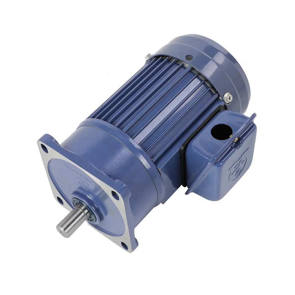 Single Phase 110V/220V 3KW AC Induction Gear Motor With Speed Control Function