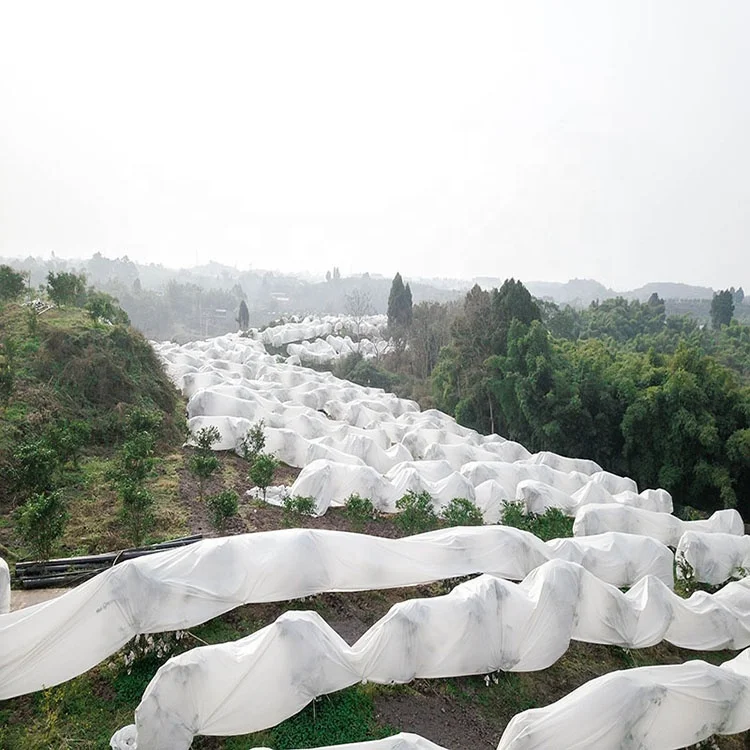 Greenhouse Mulch Weed Mat Plant Cover Nonwoven Anti-ultraviolet And Insect-Proof 100% PP Non woven Fabric Used For Agricultural