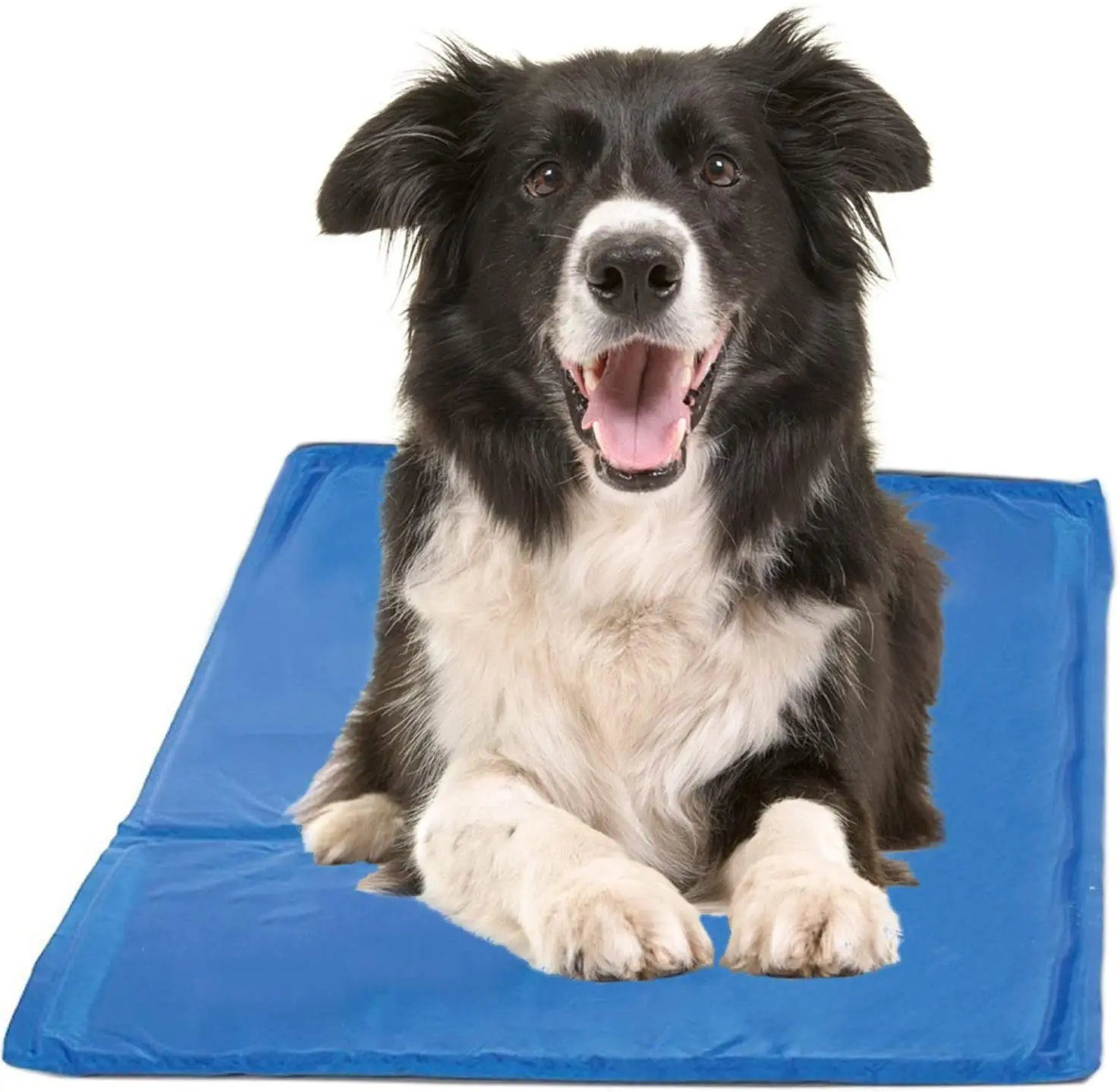 Hot Professional Manufacture Dog Cooling Pad Summer Waterproof Self-cooling Gel Pet Chilly Pat Mat Dog Cooling Mat