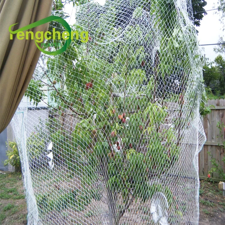 High Strength New Products Nylon Knitting Anti Bird Protection Net Bird Net