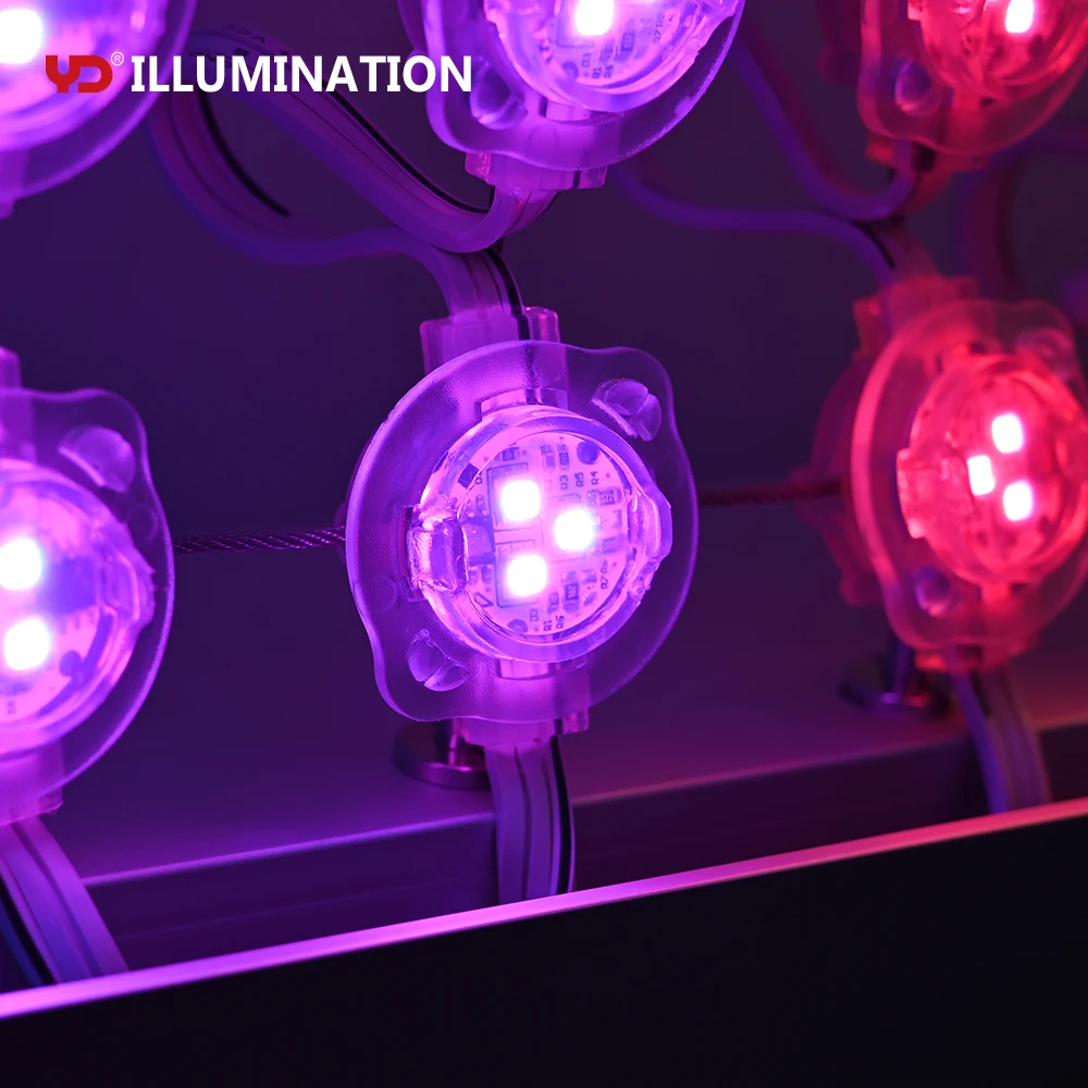 12V IP68 Waterproof Double Protection RGB Pixel 40mm Outdoor LED Point Lights Source for Landscaping