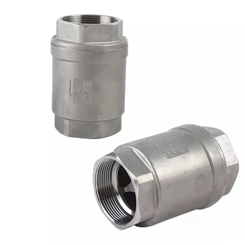FNPT+FNPT 2 Inch DN50 Stainless Steel SS304 Lift Spring Check Valve
