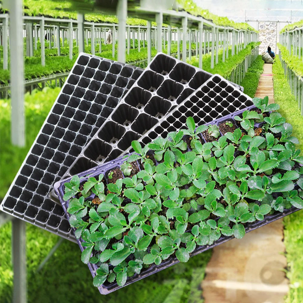 32 50 70 100 128 Holes Cell Starter Tray Mirogreen Farms Gardening Germination Seedling Trays With Drain Holes Reusable