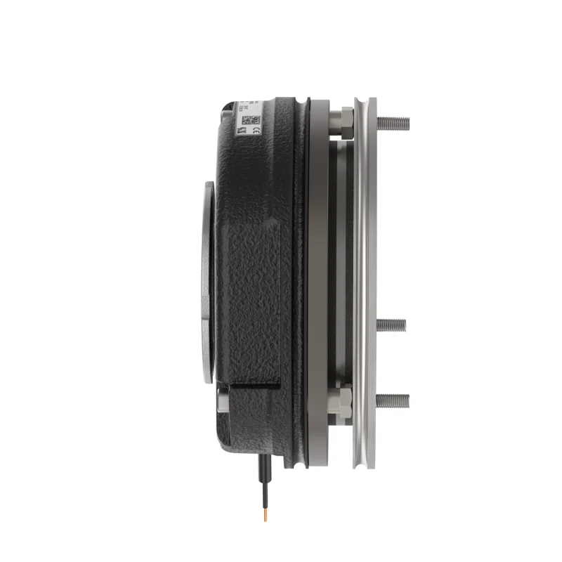 DZS3-05N Electric power brake floodgate