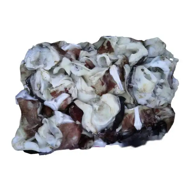 Good Quality Cheap Price Frozen Squid Neck  For Exporting