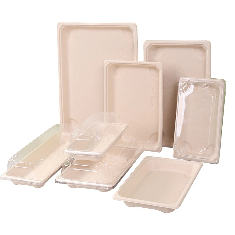 Rectangle plastic sushi plate sugarcane bagasse Takeaway bagasse