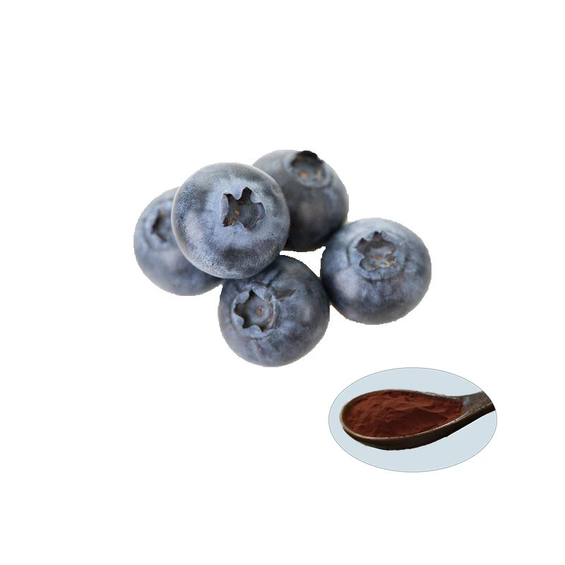 High quality with favorable price Proantho cyanidins / OPC supplement Bilberry Extract b2 Procyanidin