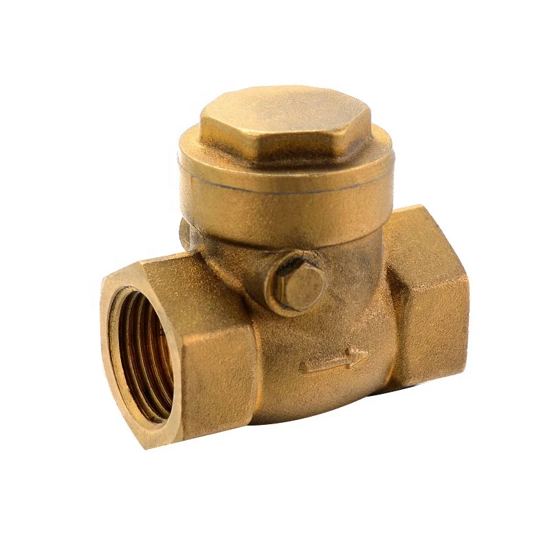 brass check valve check valve one way check valve brass fuel check valve with more specification