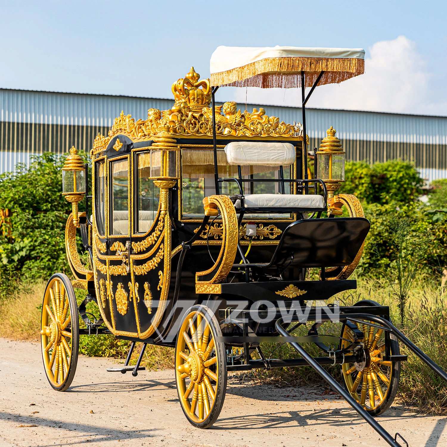 Good Performance Black Color Design Horse Carriage Royal Electric Horseless Carriage 4-6 Seats for Sale