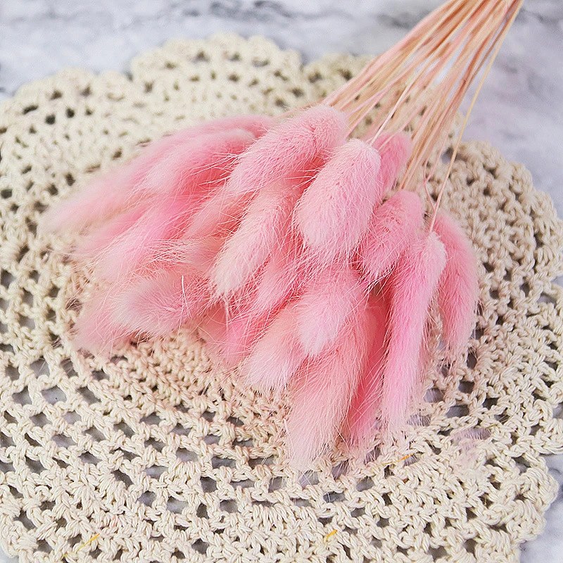 Dried Flowers Lagurus Ovtus Foxtail Grass Rabbit Tail Bunny Tails Wholesale Decorative Real Natural for Wedding Home Decor