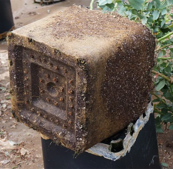 Гидропоника 25 литров 30 40 квадратное/Круглое ведро для выращивания черники