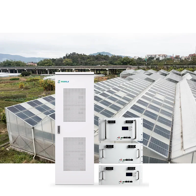 Rechargeable 48v 100ah Li Ion Battery 48vlithium Ion Battery For E Bikes