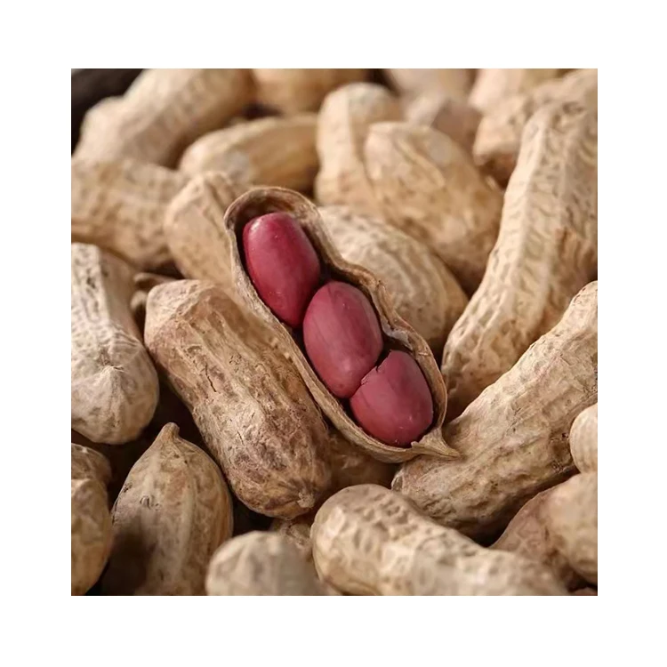 Best Selling Wholesale Non-GMO Raw Organic Peanuts Edible Kernels Peanut Kernel