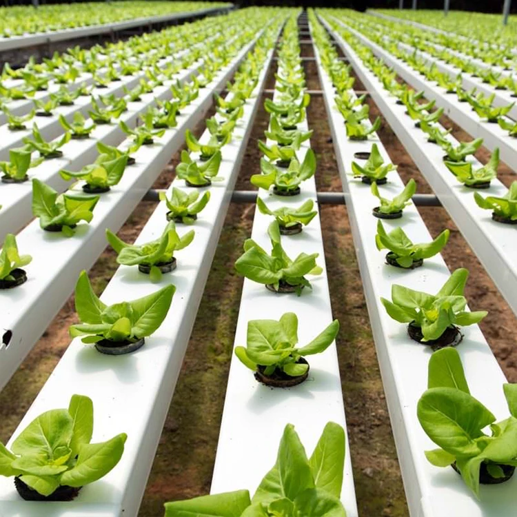 Farm Hydroponic Growing System Hydroponic systems UPVC NFT Channel for Agriculture Greenhouse raised fabric bed