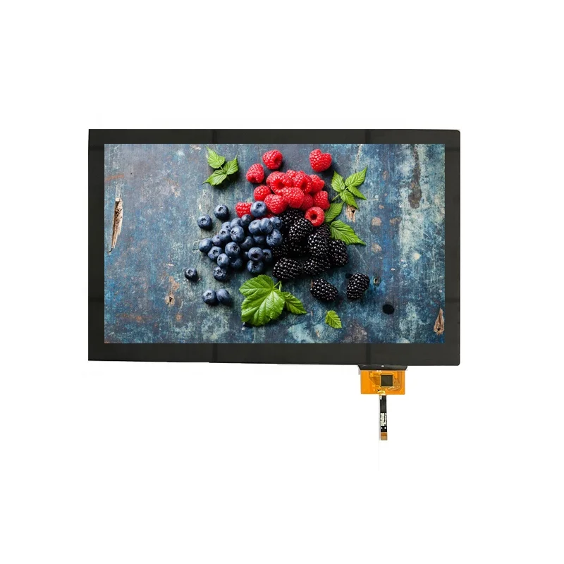10.1 Inch TFT LCD Display Module with 1024(RGB)*600 LVDS Interface and Capacitive Touch Panel 40 Pin Design
