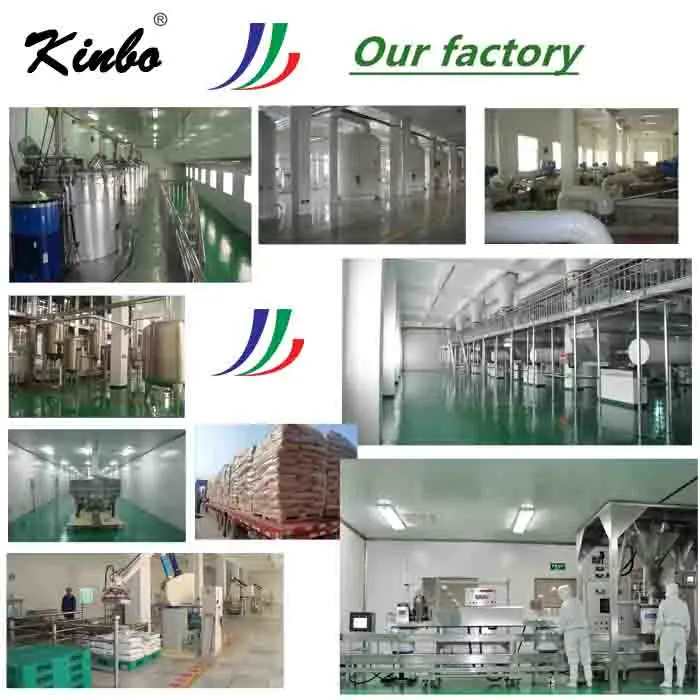 kinbo Pvc Paste Resin China High Quality Emulsion Pvc Paste Resin P440 P450 Price