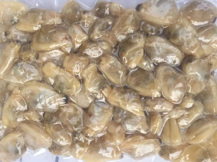 Frozen Clam Meat Short Necked Yellow IQF/BQF Seafood Fish Cooked Boiled Clean For Thailand Malaysia Vietnam Market