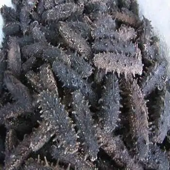 Dried Sea Cucumber for sale