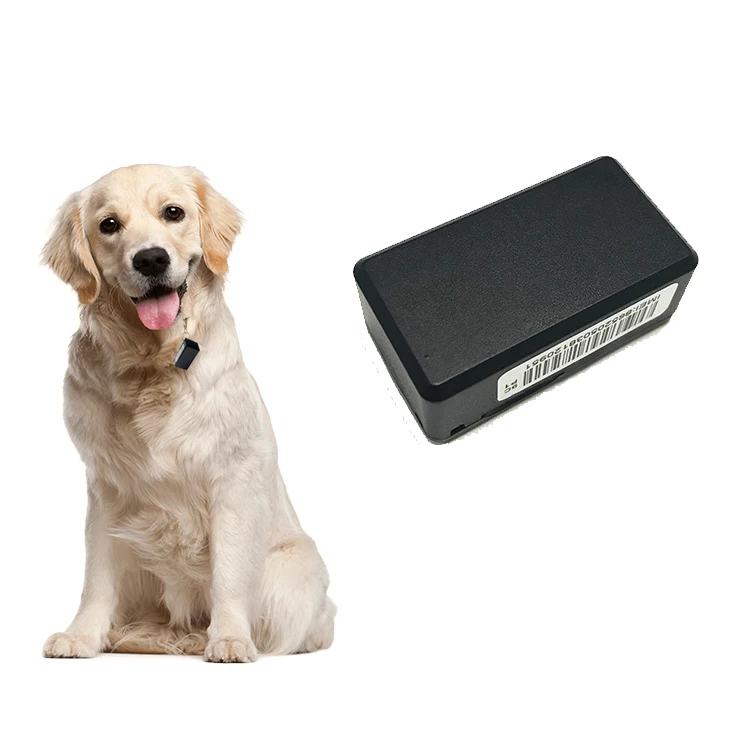 Vjoy Car GF10 Micro Waterproof GPS GPS 700mAh Pets Dogs Cats Birds Mini Pet Locator