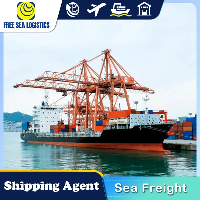 20-футовый/40-футовый контейнер из Китая в Южную Америку Африку и Канаду FOB