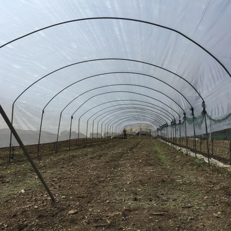 Прямая Продажа с завода недорогая теплица для выращивания растений в сельском хозяйстве оптовая продажа