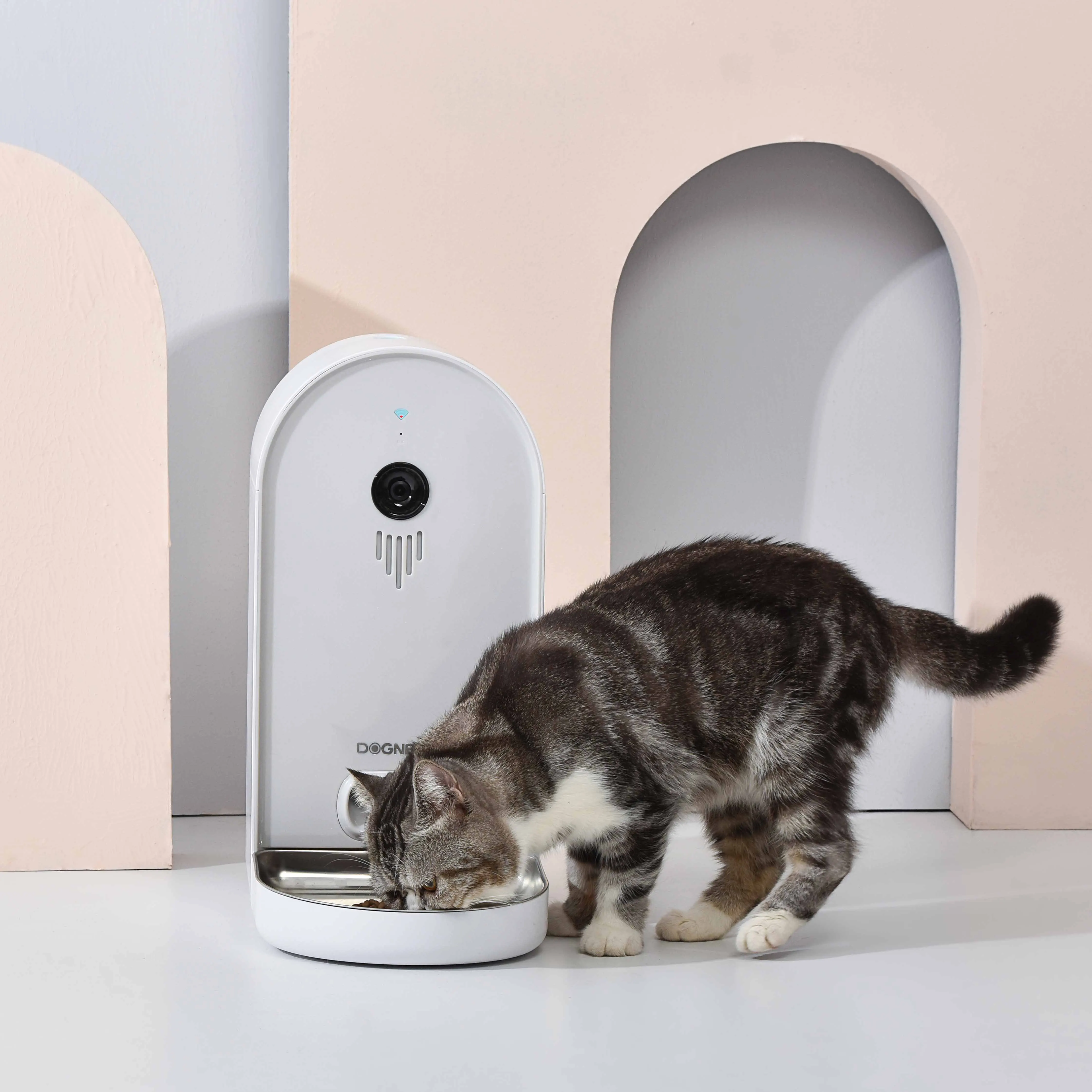 Dogness Amazon Top Sellhomeutomatic Dog Feeder Smart Wifi Automaticfood Dispenser Automatic Pet Feeder Camera BSCI Bowls Modern