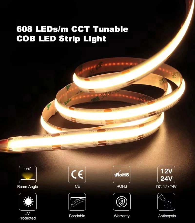 COB Dual CCT30 (1).jpg